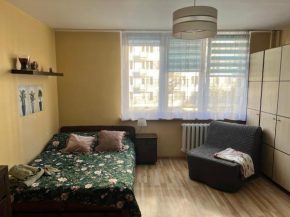 Kawalerka w samym sercu Warszawy-Muranow Smart TV 40, Free Wi-Fi, Netflix, Warsaw